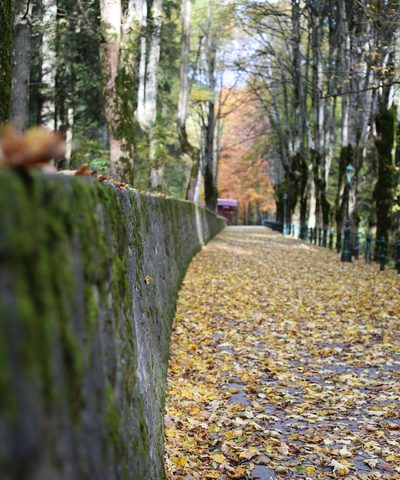 Retaining wall considerations