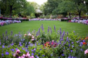 spring flower beds olathe landscape architects