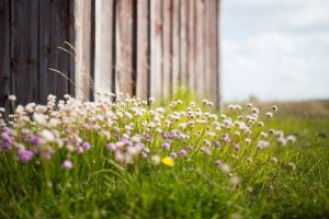 prevent heat exhaustion by hiring professional landscapers