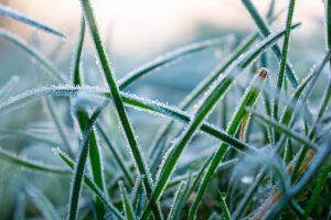 6 Must-Do Landscaping Tips to Prepare Your Lawn for Winter