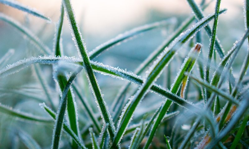 5 Must-Do Landscaping Tips to Prepare Your Lawn for Winter