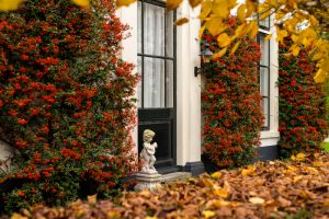 10 Great Fall Decorative Ideas to Enhance Your Landscaping and Curb Appeal