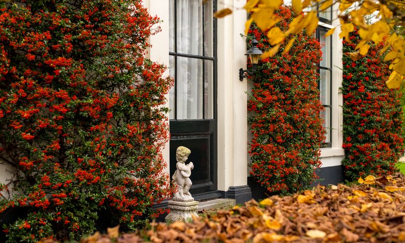 10 Great Fall Decorative Ideas to Enhance Your Landscaping and Curb Appeal
