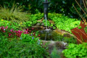 Benefits of Landscaping Water Features