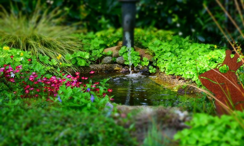 Benefits of Water Features